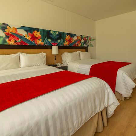 Mi Hotel Sandiego Medellín Dış mekan fotoğraf